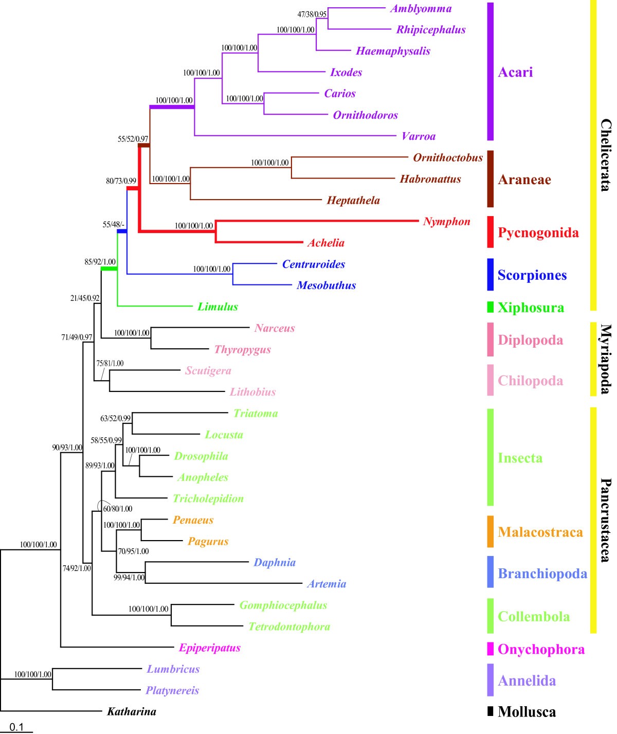 Figure 6