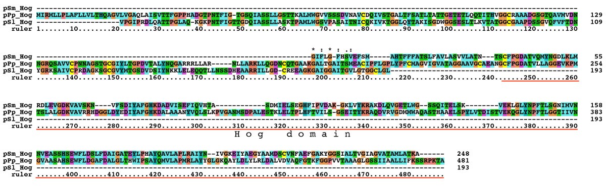 Figure 14