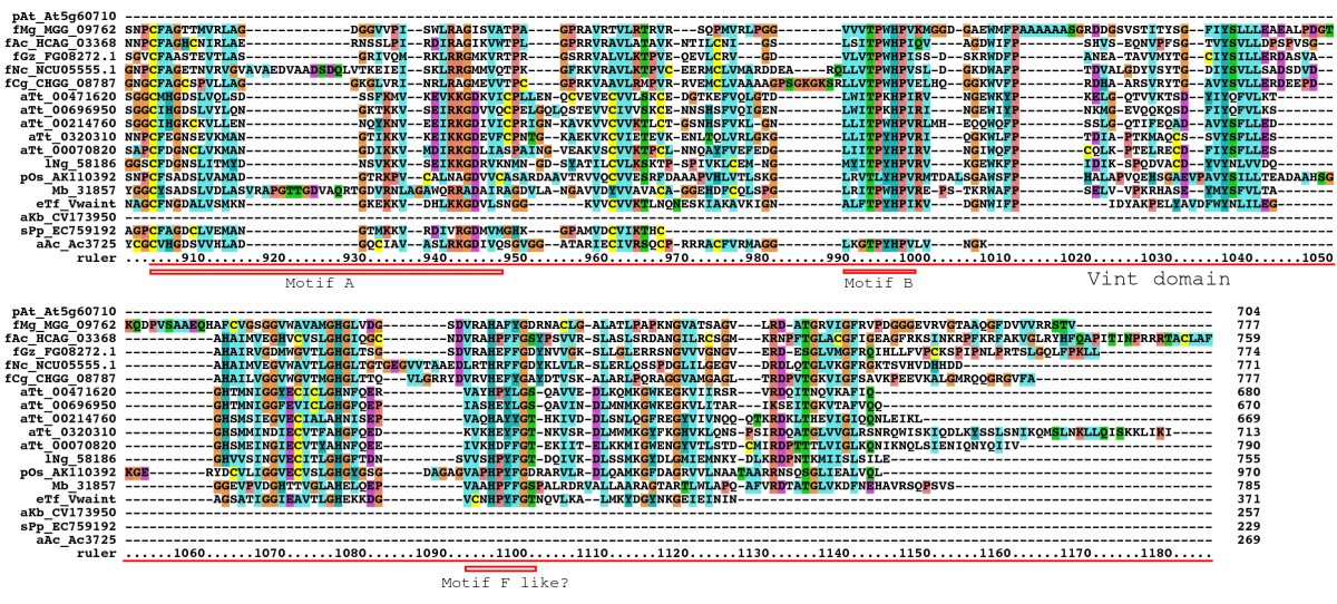 Figure 19