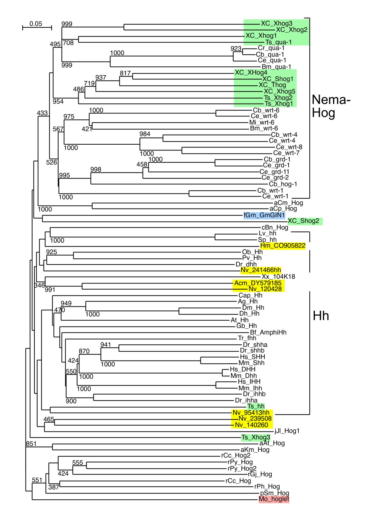 Figure 5