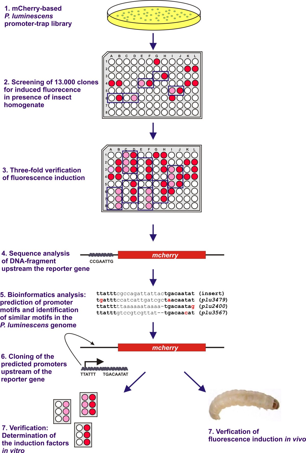 L. Andreev: Kusaka. Summary with analysis elements L. Andreev: Kusaka. Summary with analysis elements