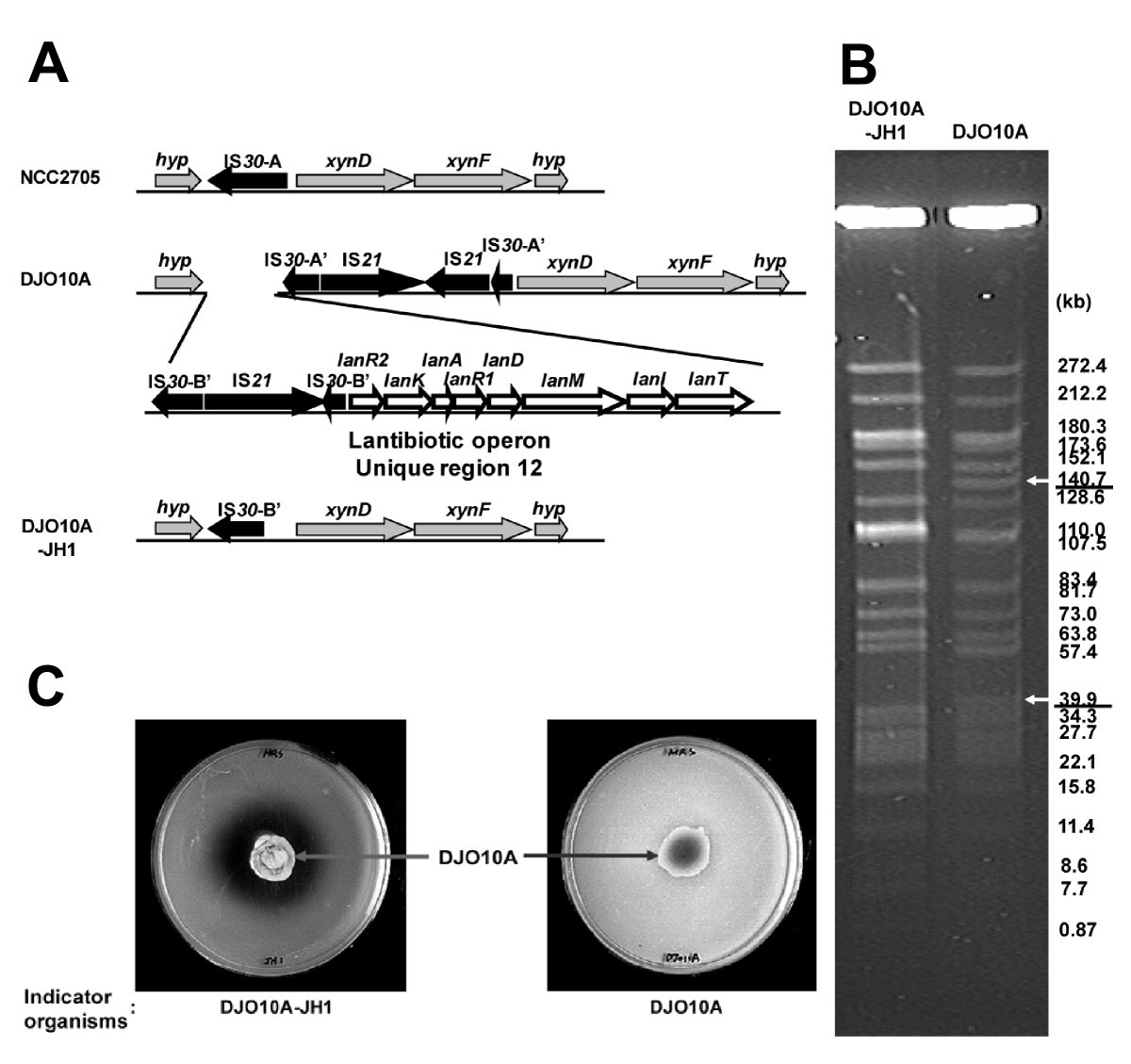 Figure 6