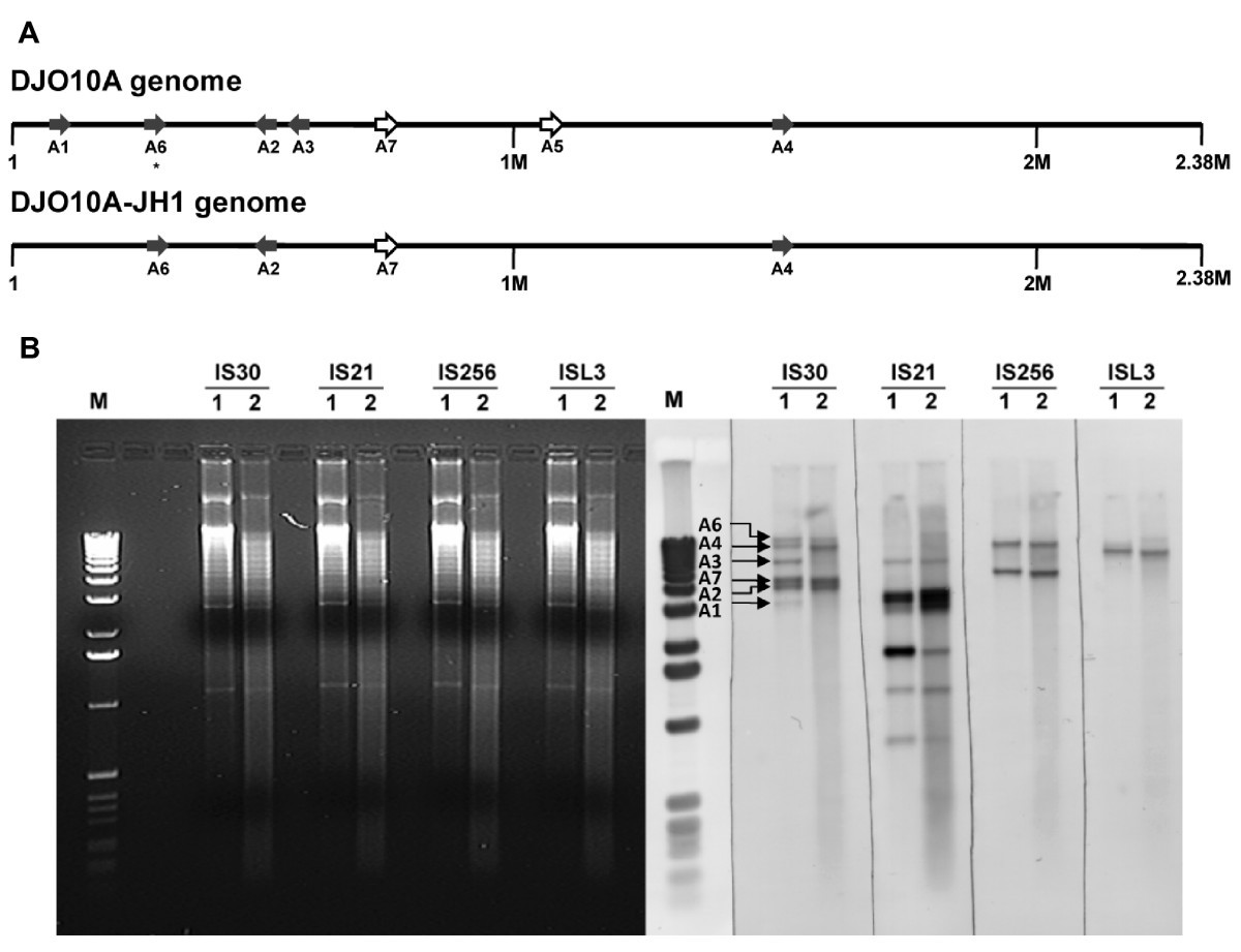 Figure 7