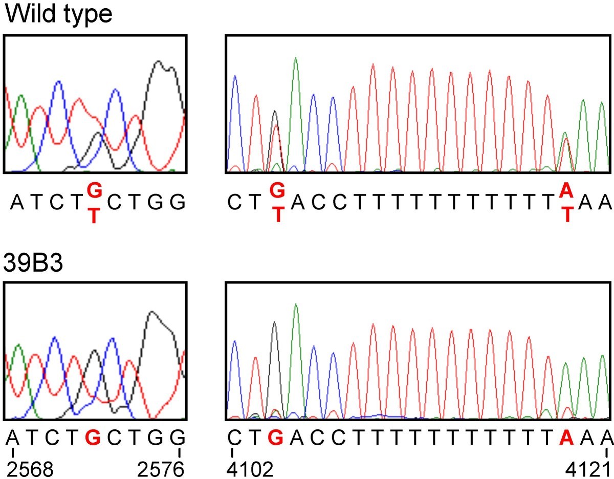 Figure 9