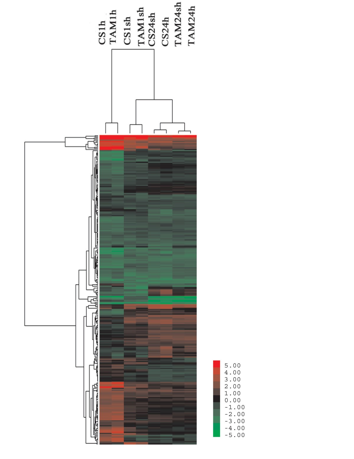 Figure 7