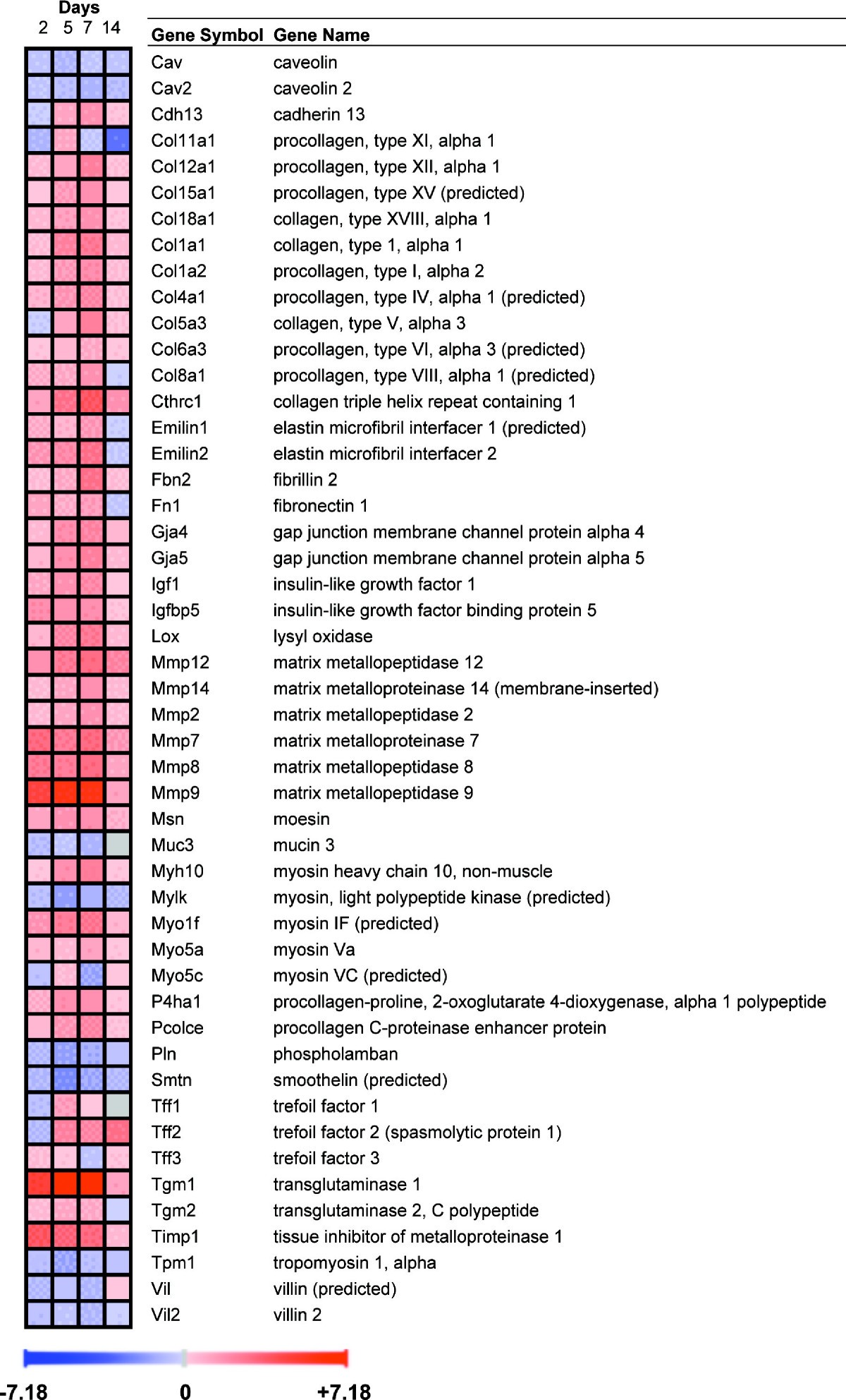 Figure 11