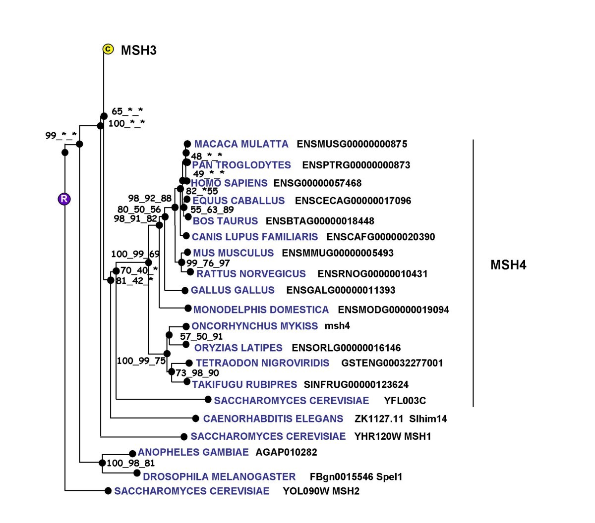 Figure 11