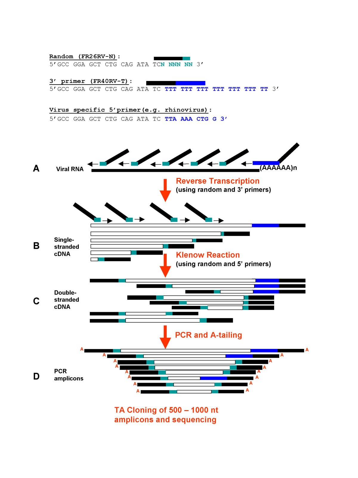 Viral genome sequencing by random priming methods | BMC Genomics | Full Text