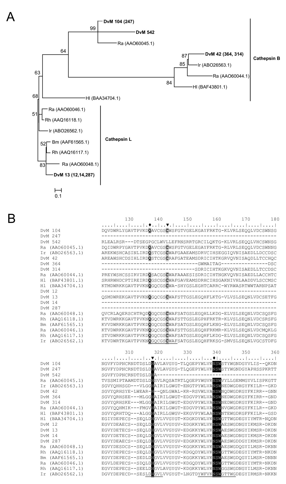 Figure 16