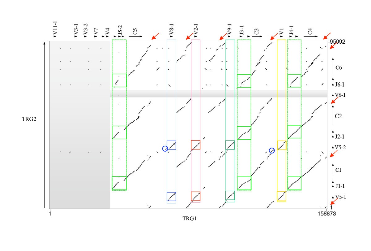 Figure 5