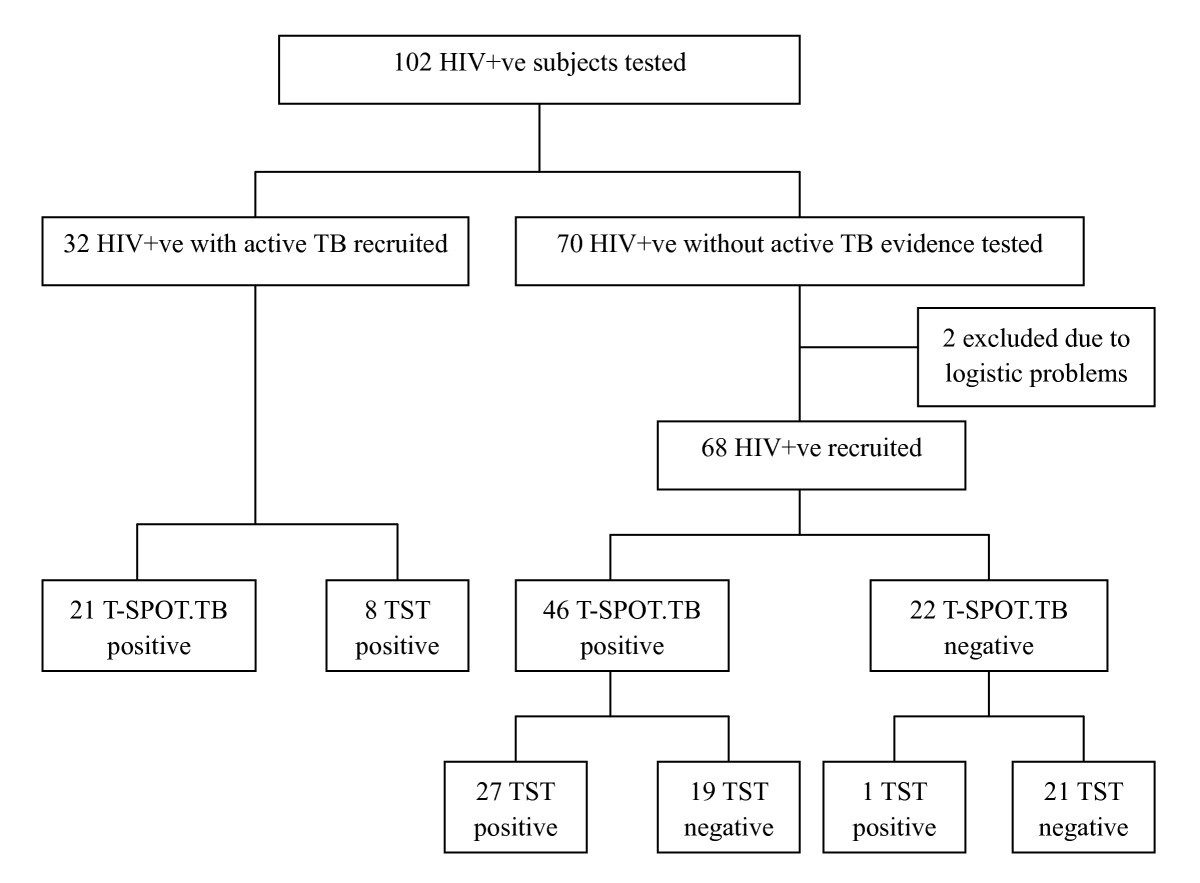 Tb Test Chart