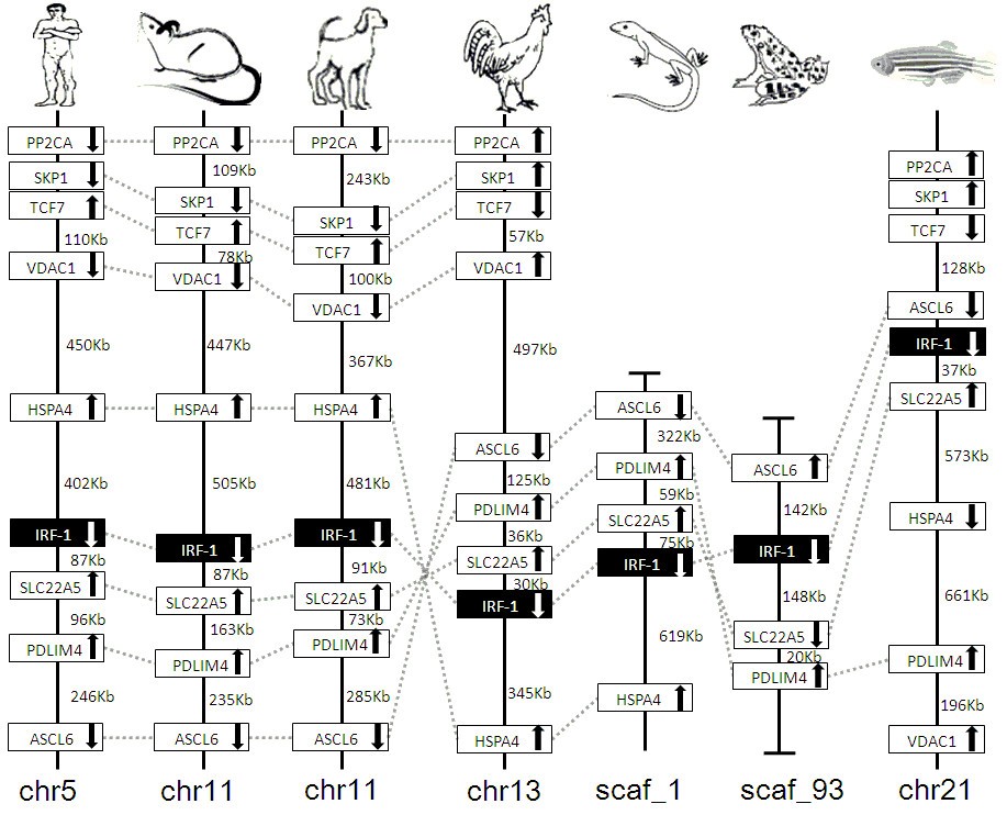 Figure 16