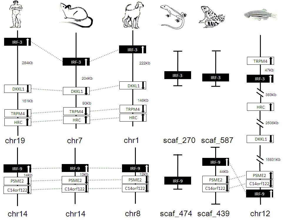 Figure 18