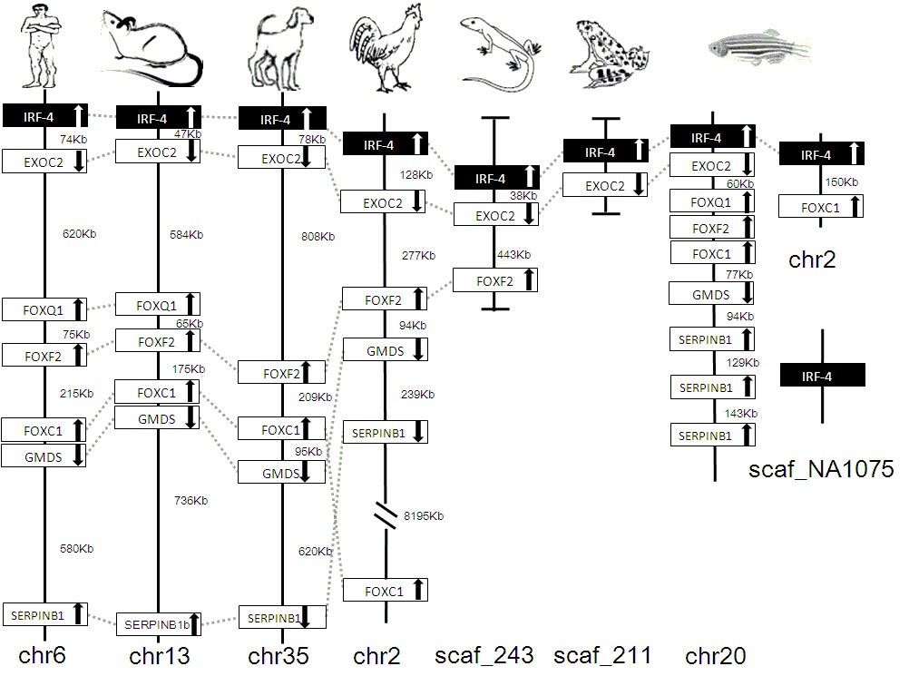 Figure 19