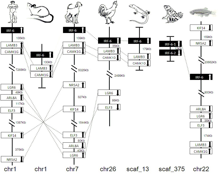 Figure 21