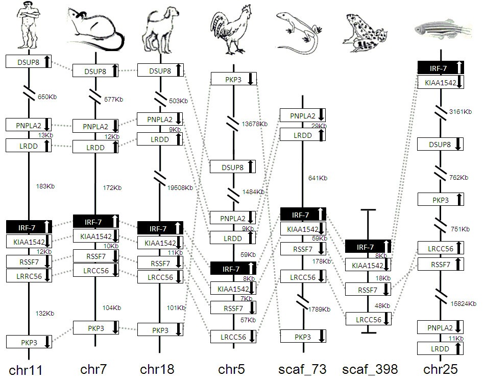 Figure 22