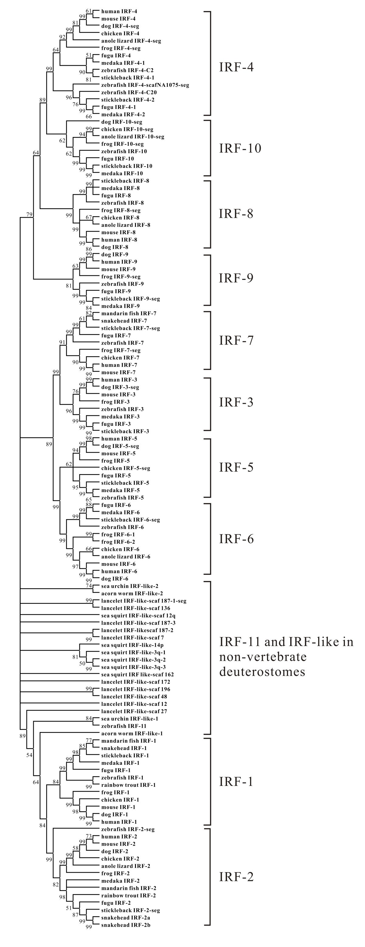 Figure 25