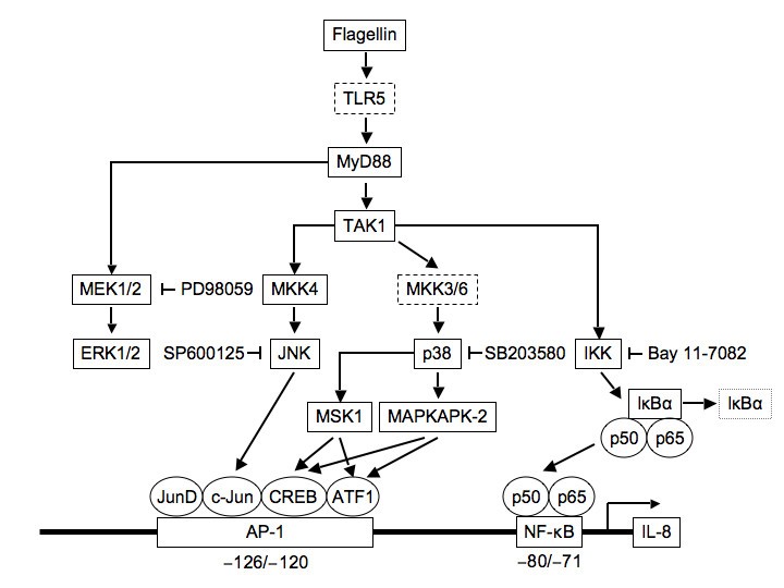 Figure 12