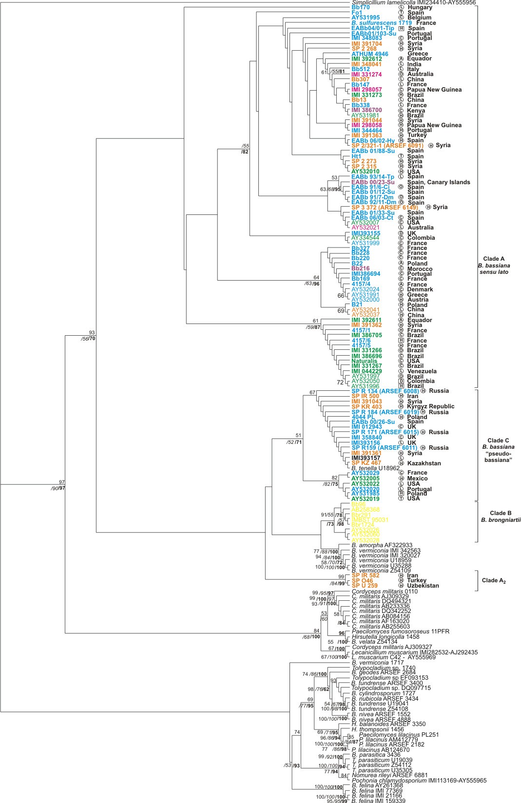 Figure 2