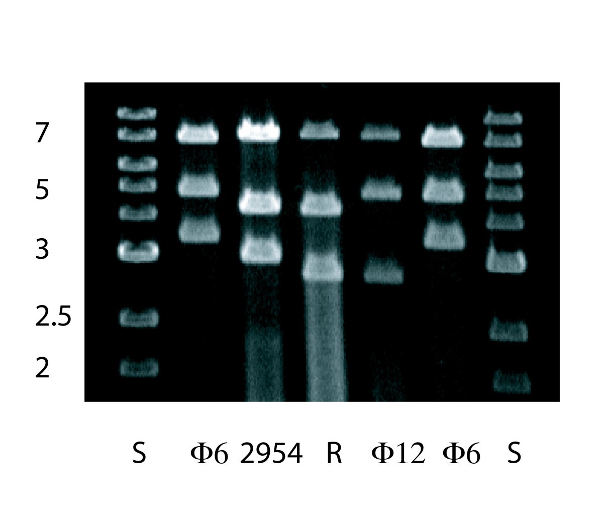 Figure 6