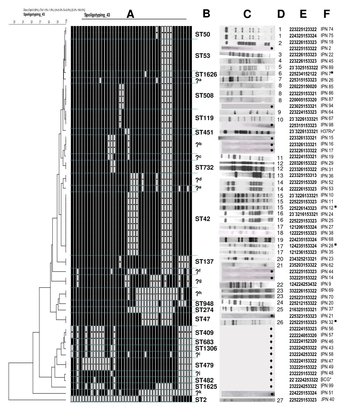First insights into the genetic diversity of Mycobacterium tuberculosis  isolates from HIV-infected Mexican patients and mutations causing multidrug  resistance | BMC Microbiology | Full Text