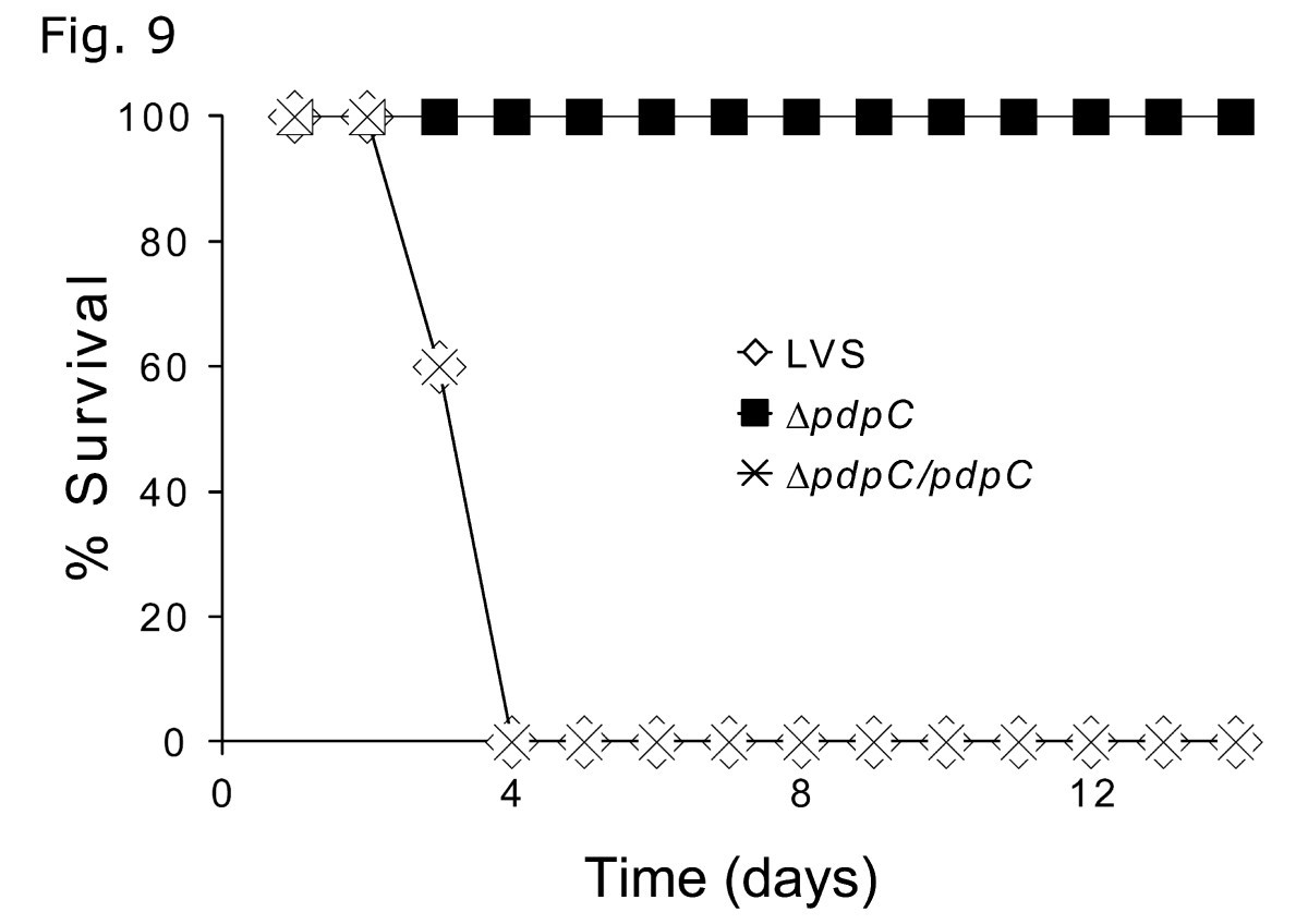 Figure 9