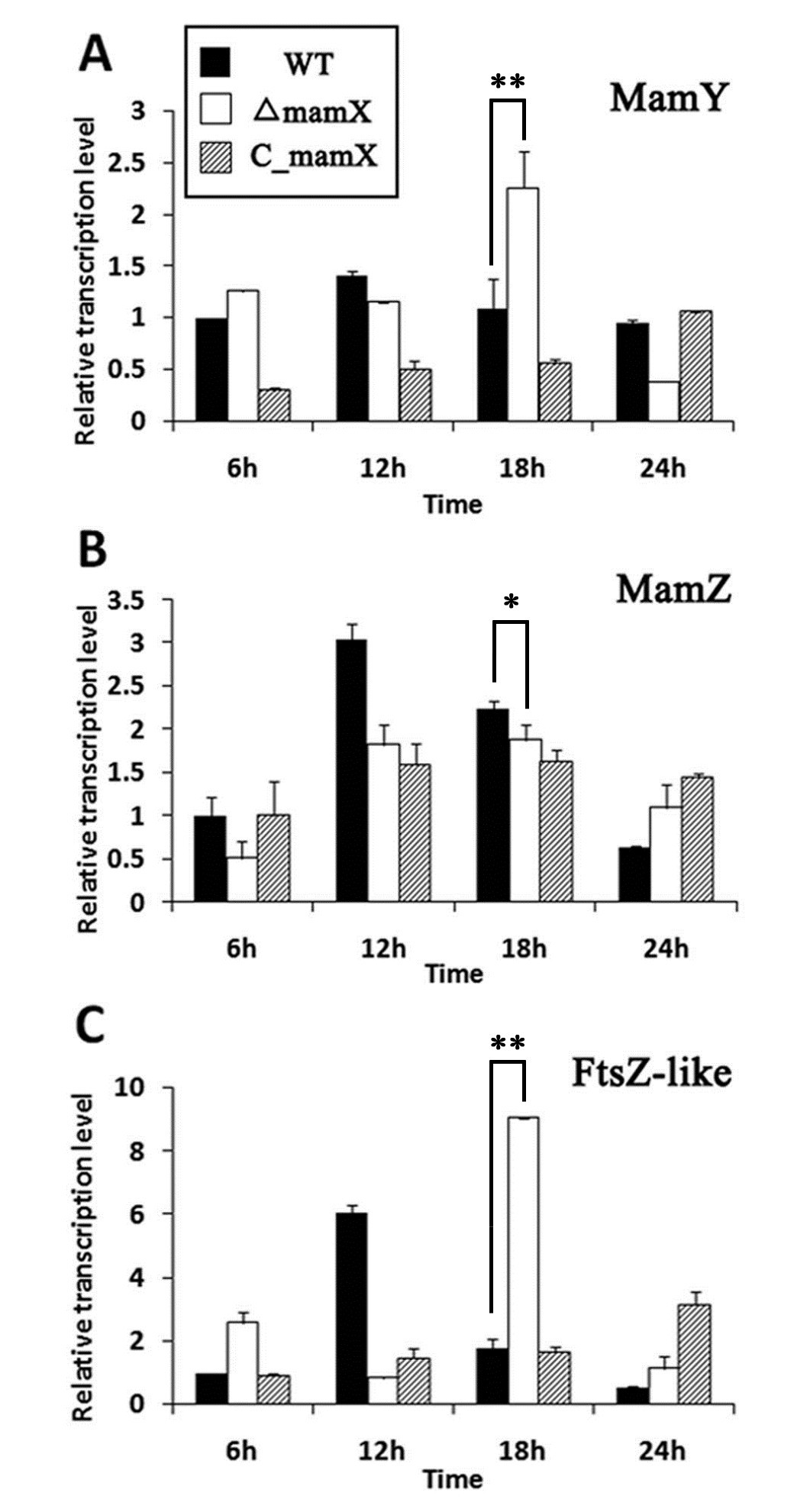 Figure 6