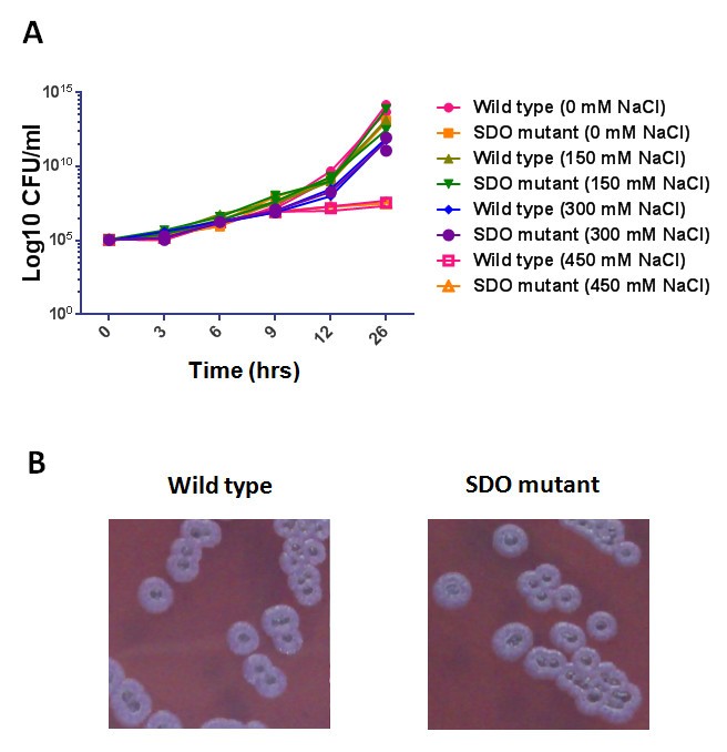 Figure 4