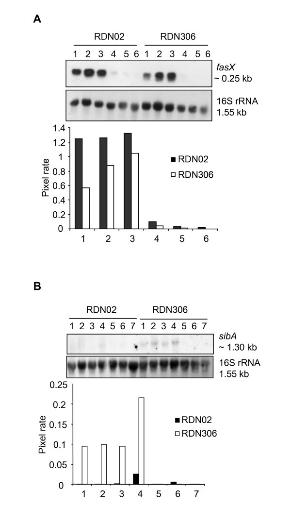 Figure 6