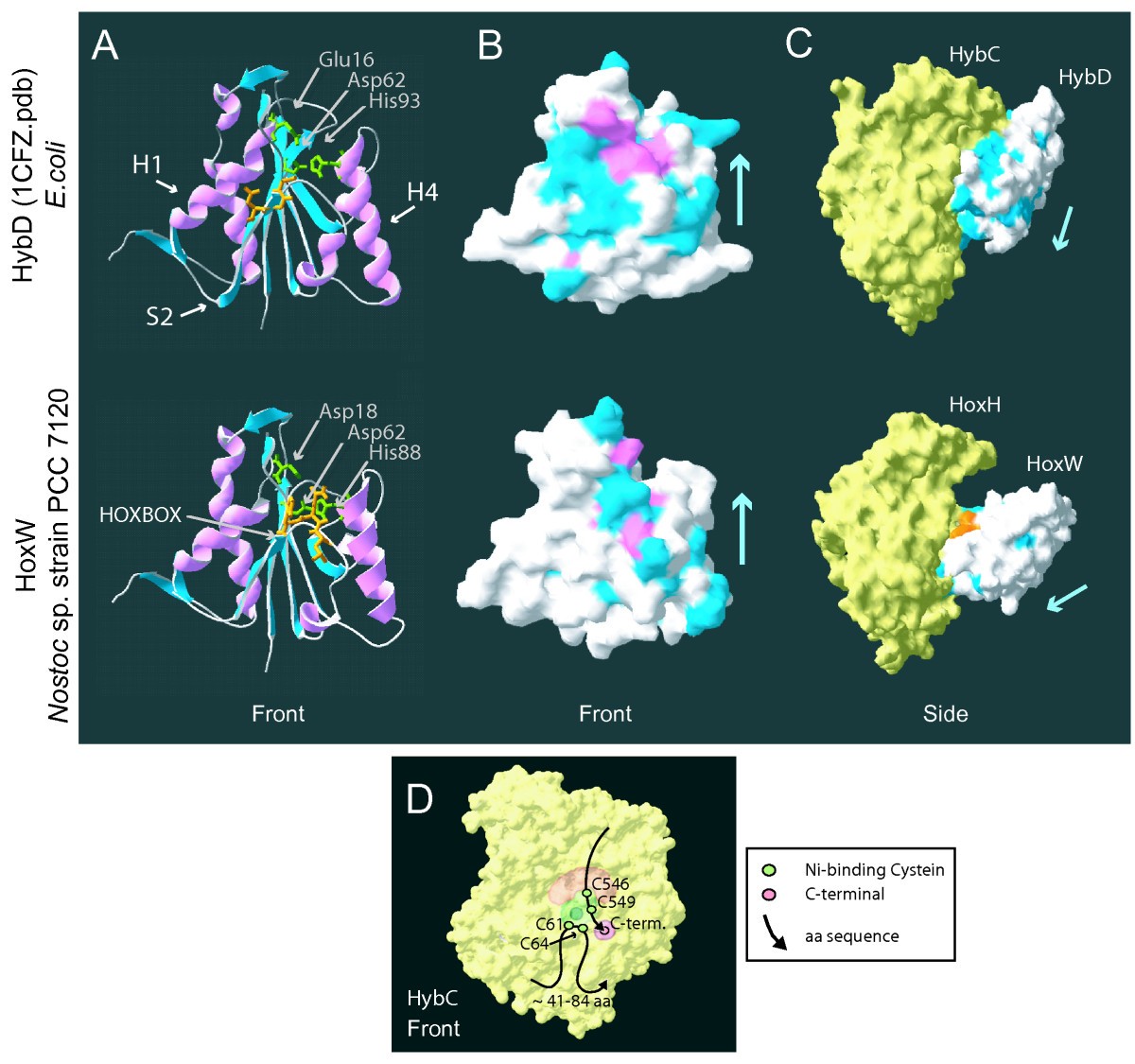 Figure 7