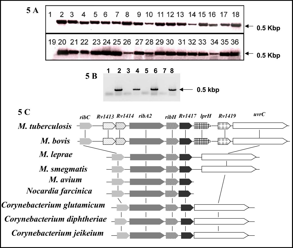 Figure 5