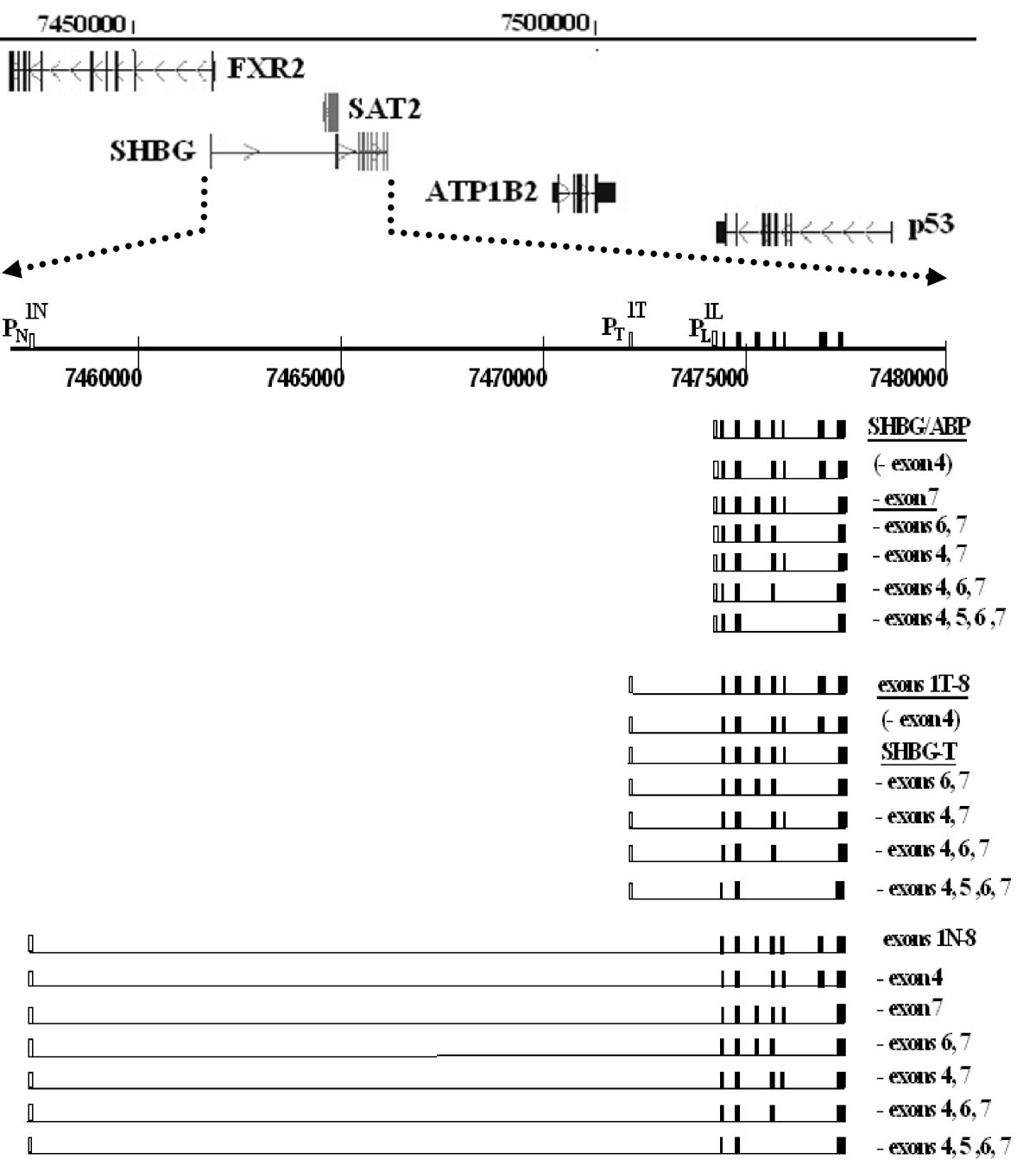 Figure 9