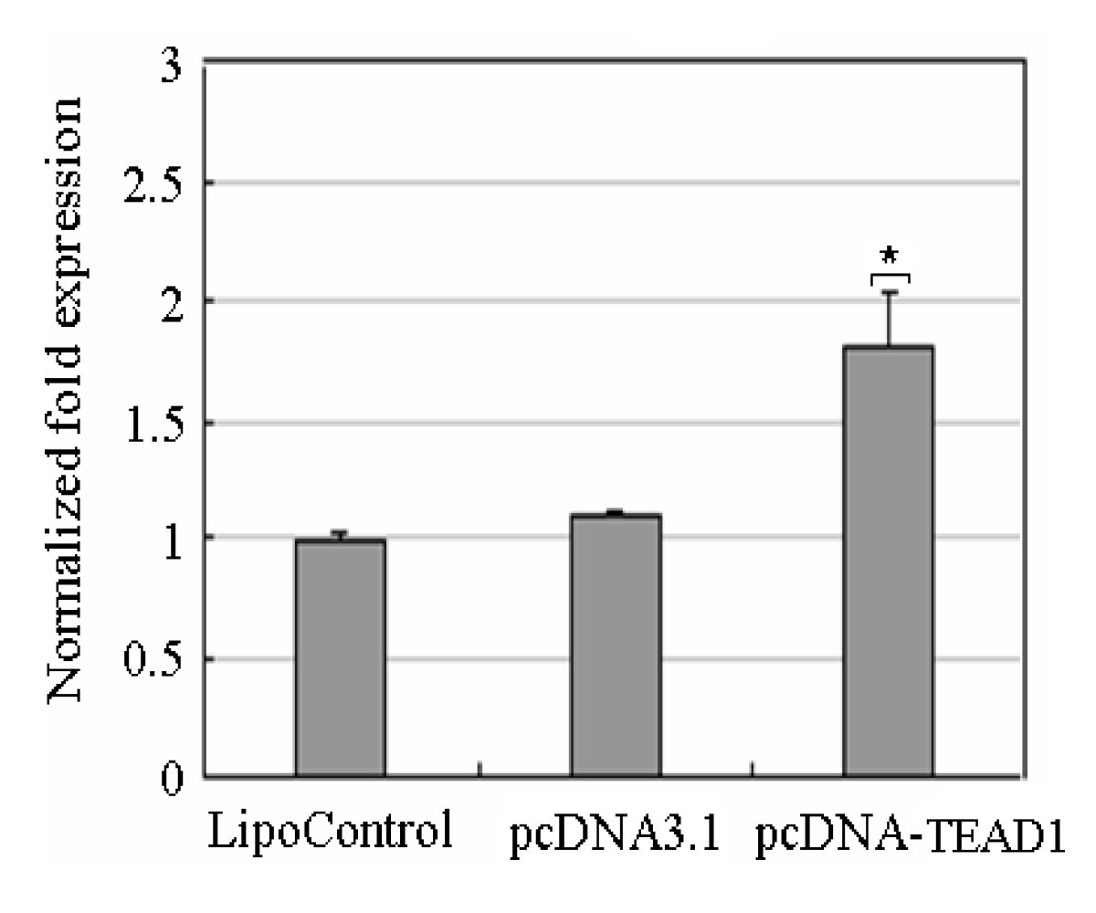 Figure 6