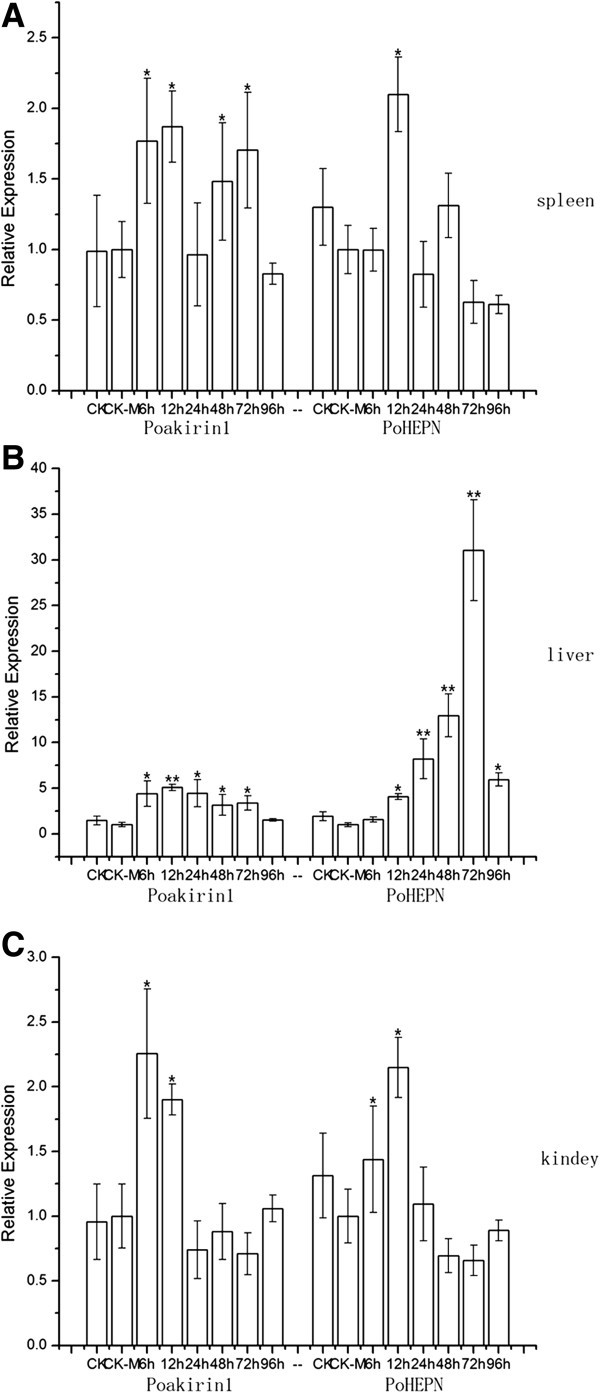 Figure 16