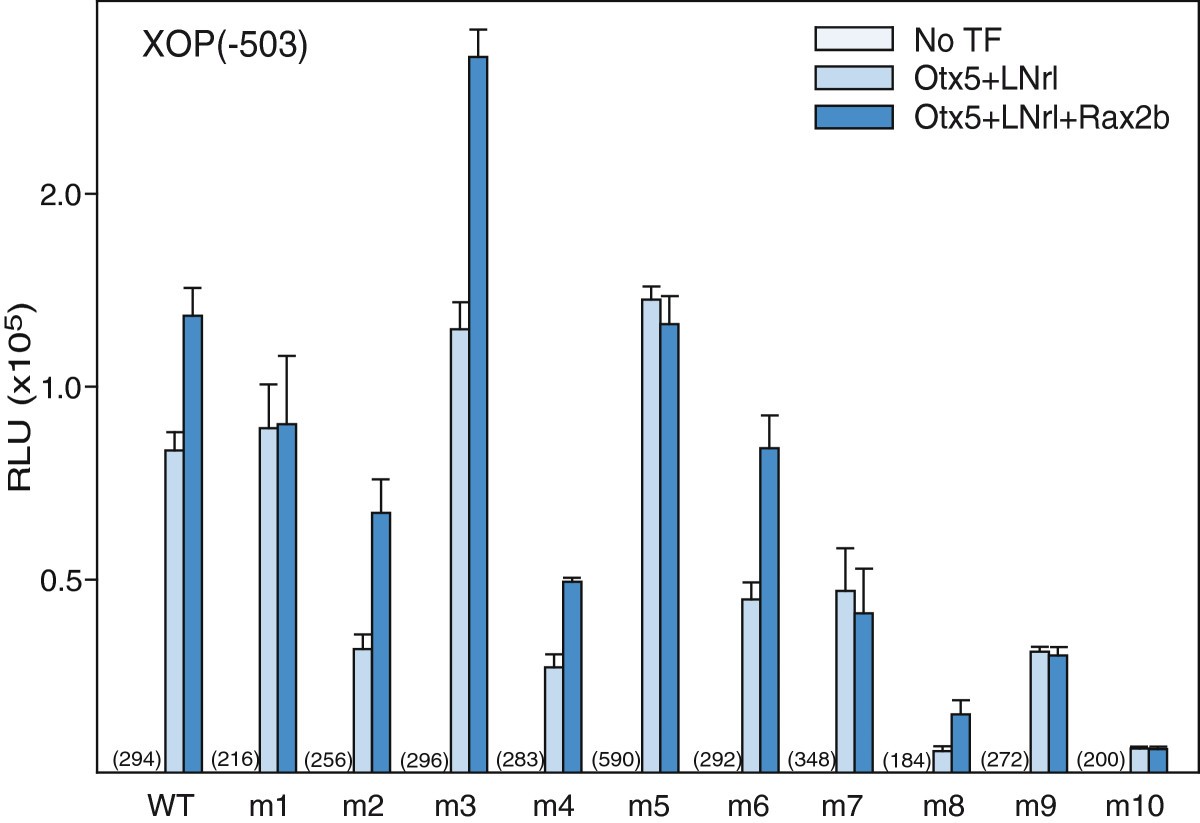 Figure 7