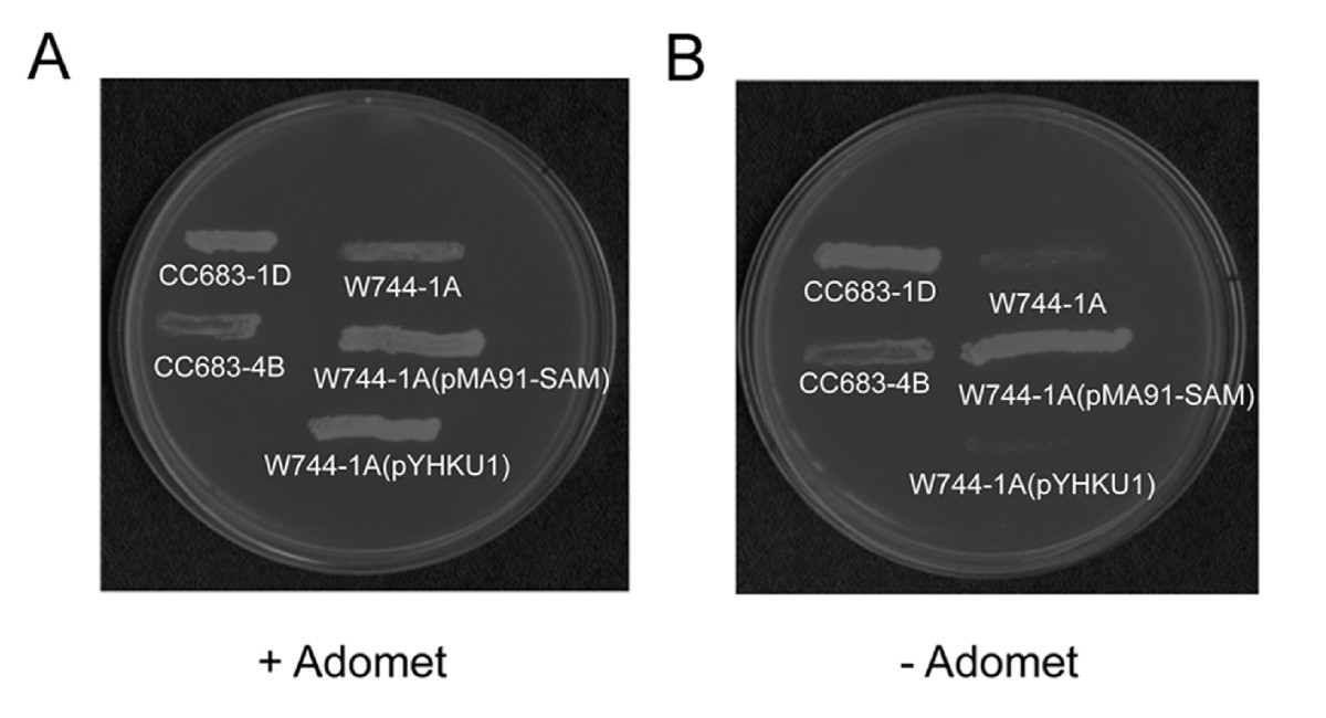 Figure 5