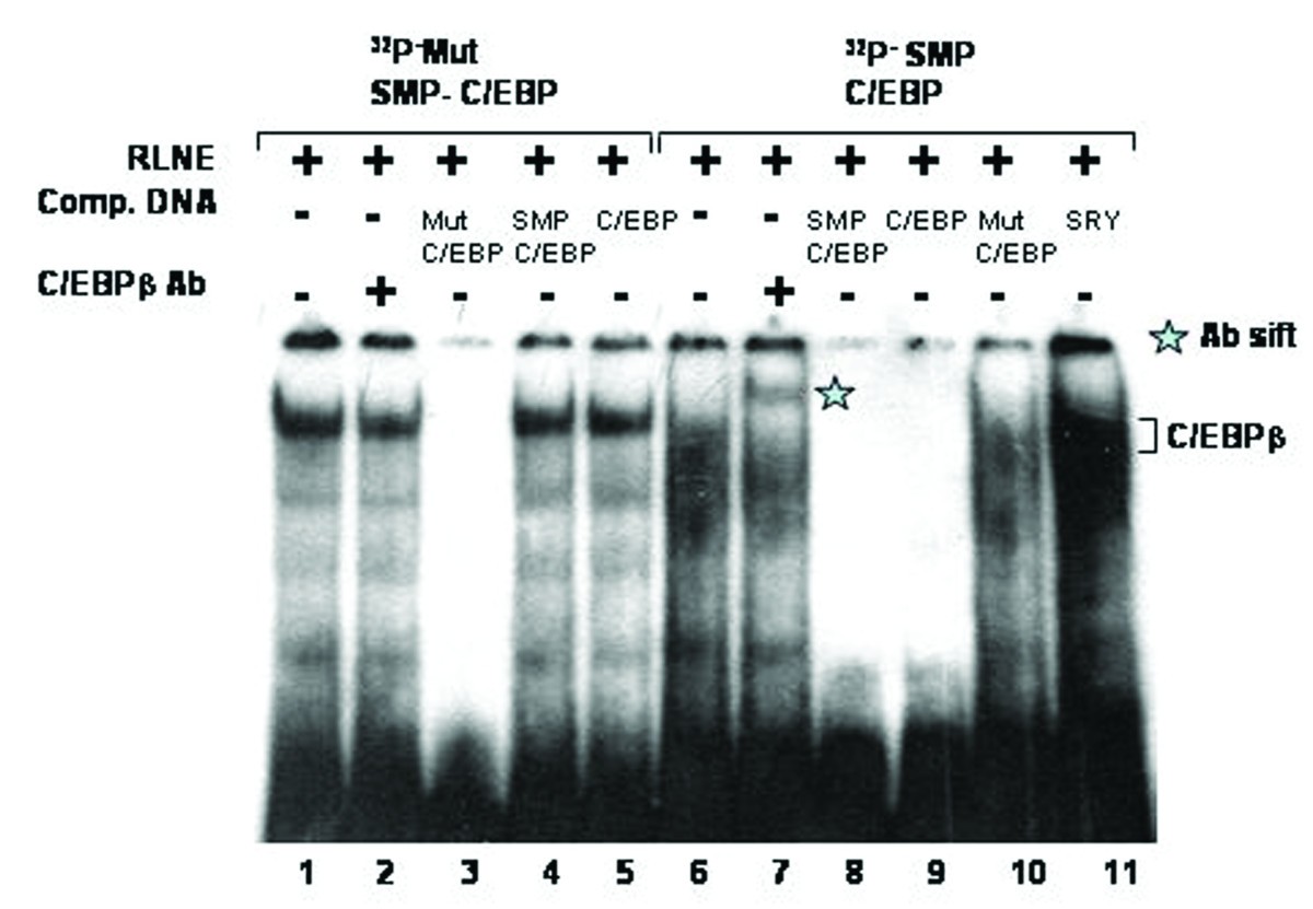 Figure 18