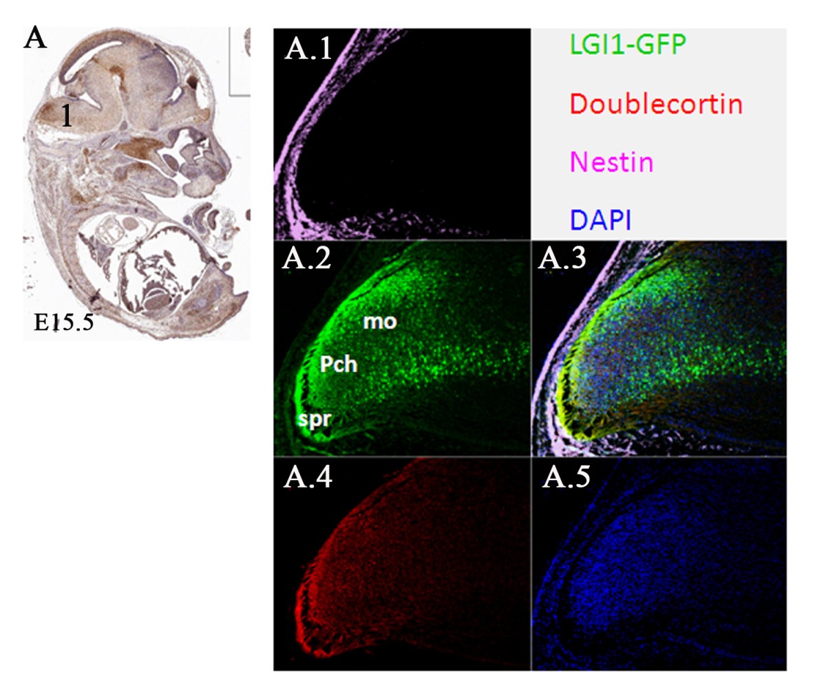 Figure 12