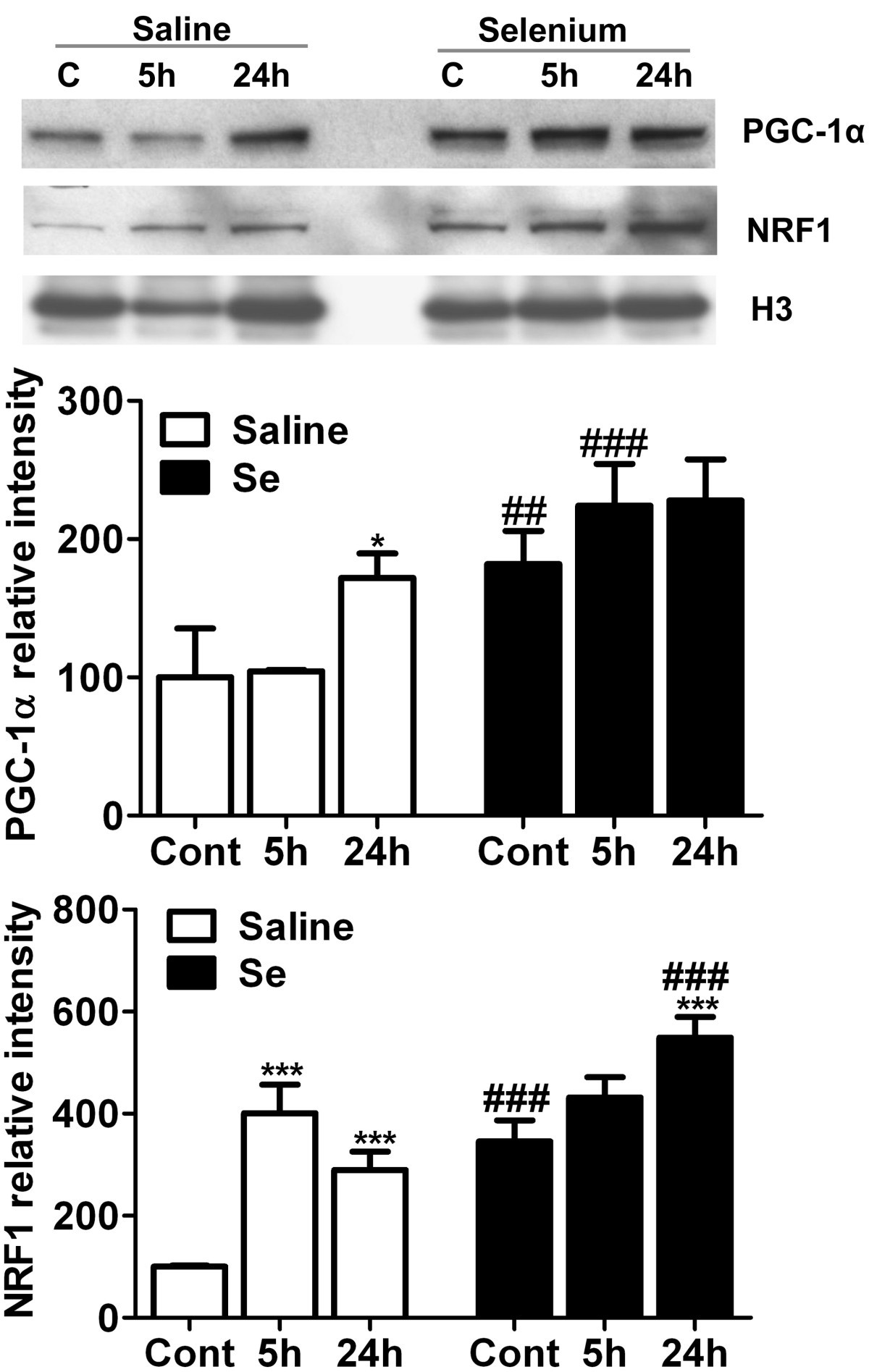 Figure 6