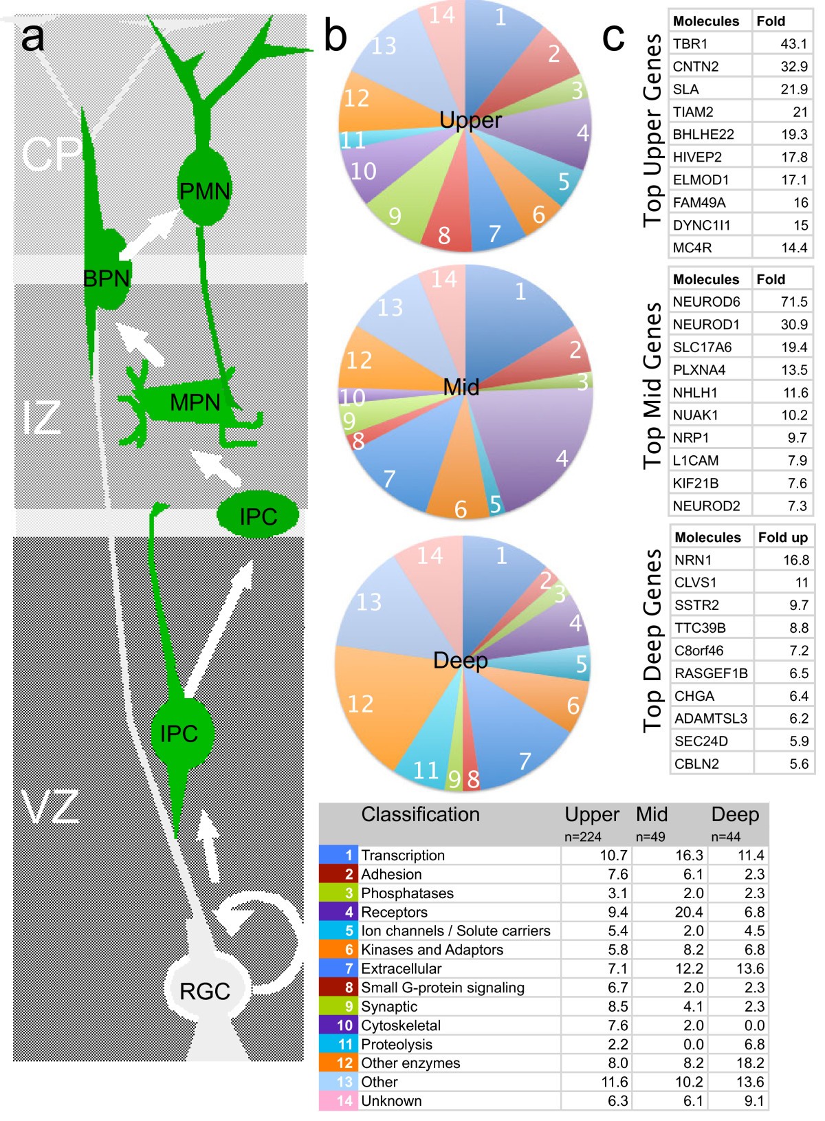 Figure 10