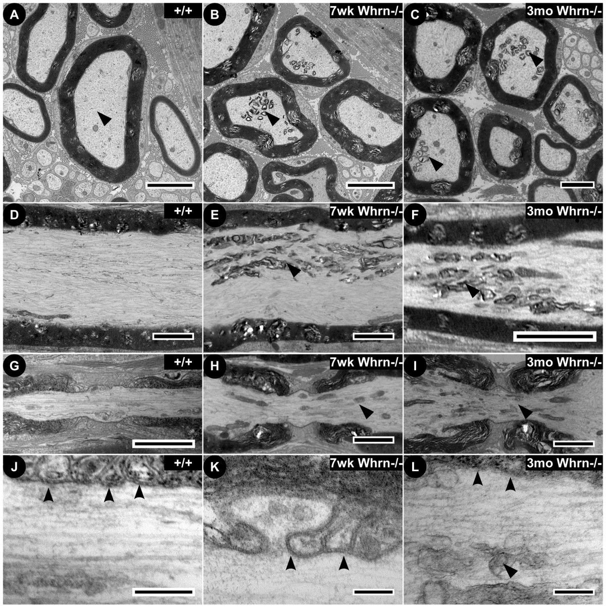 view thin film solar cells fabrication characterization and applications