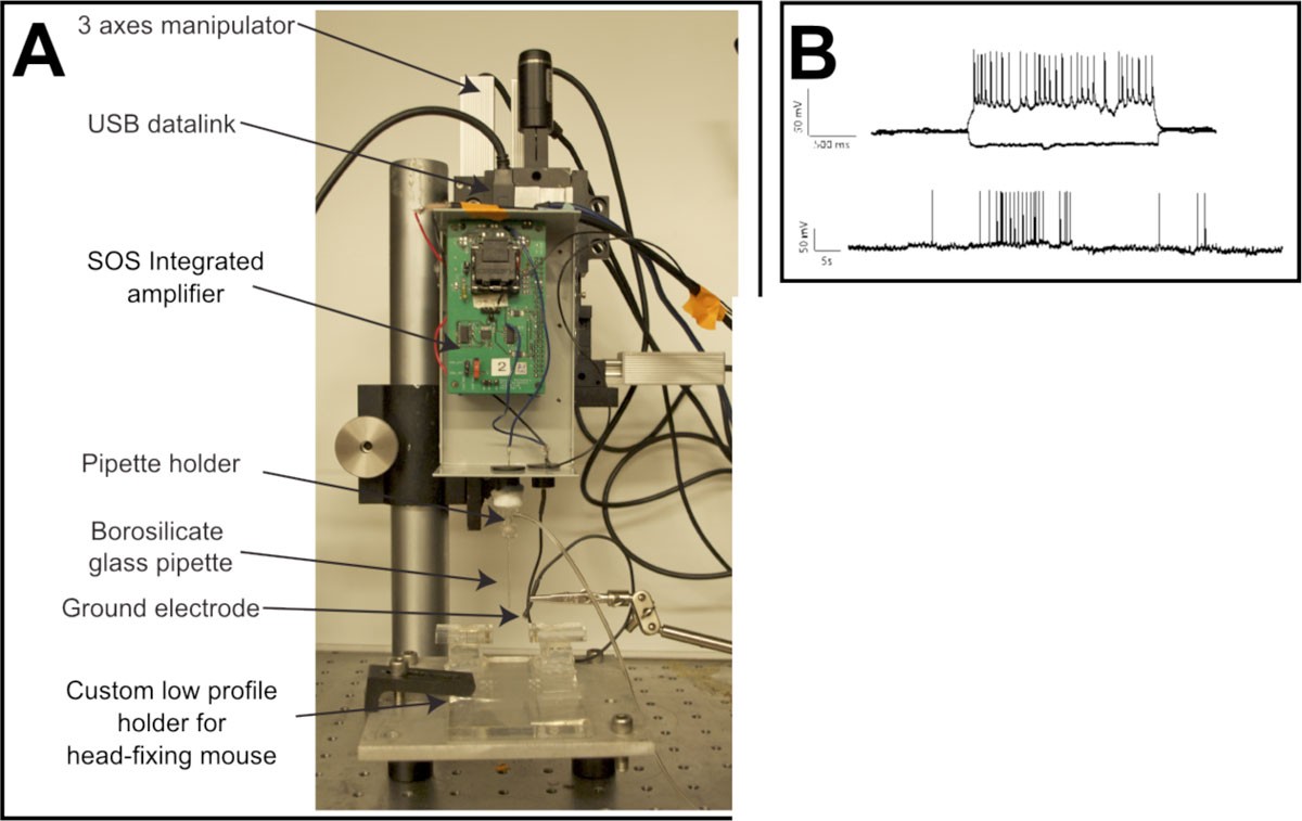 Figure 1