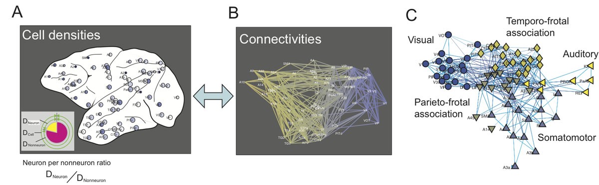 Figure1