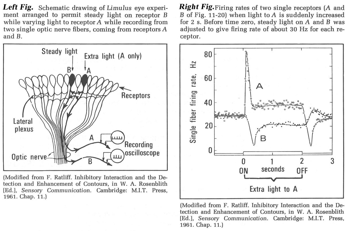 Figure 21