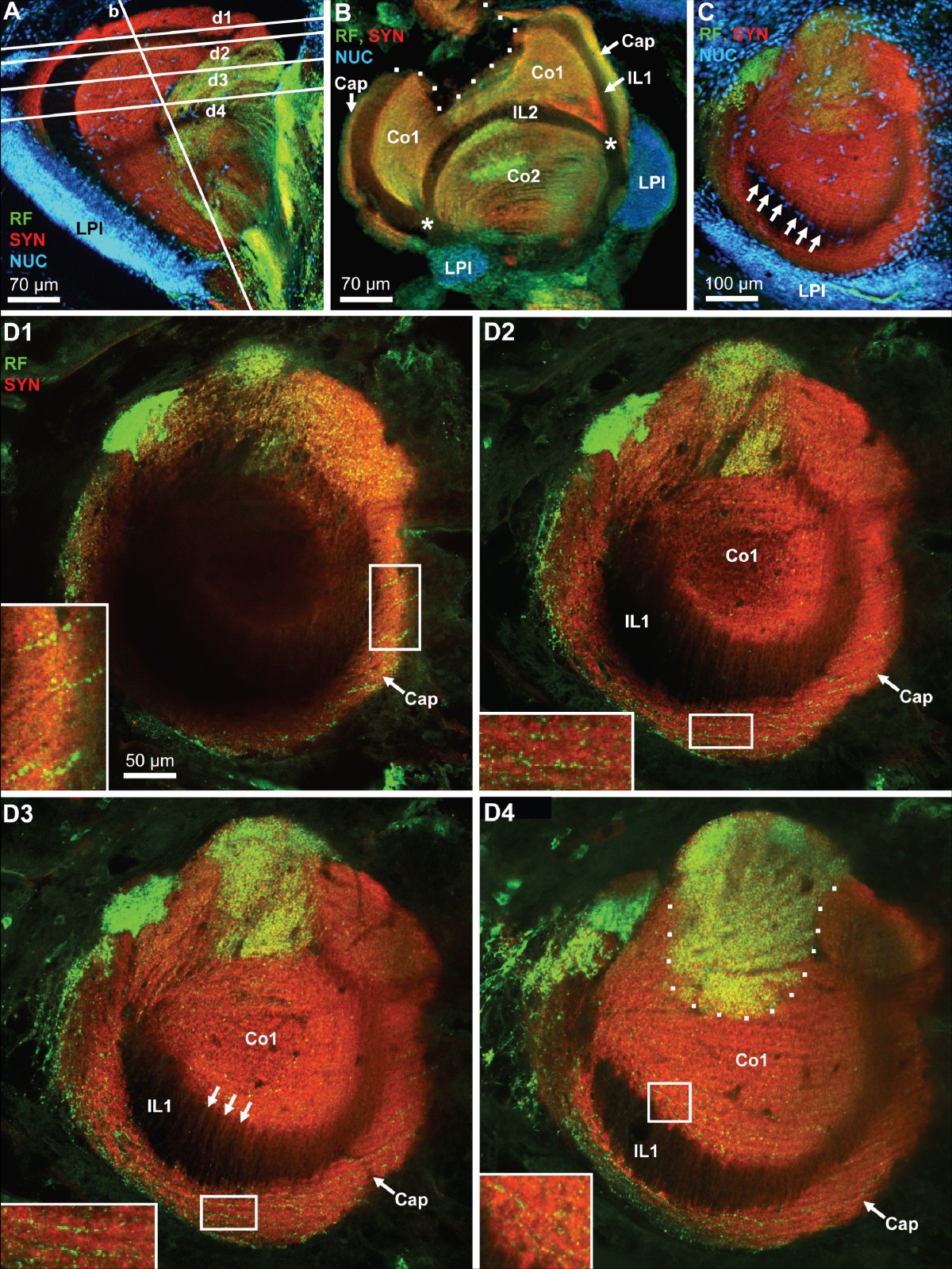 Figure 17