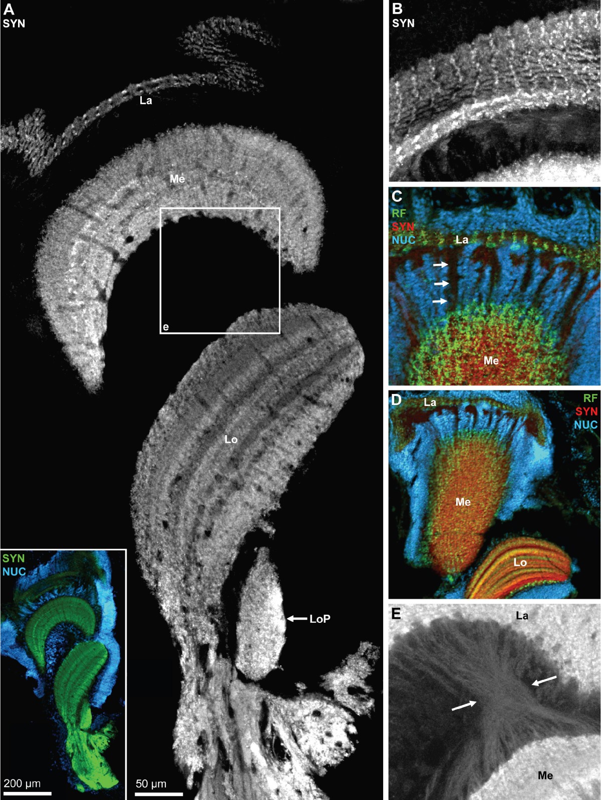 Figure 18