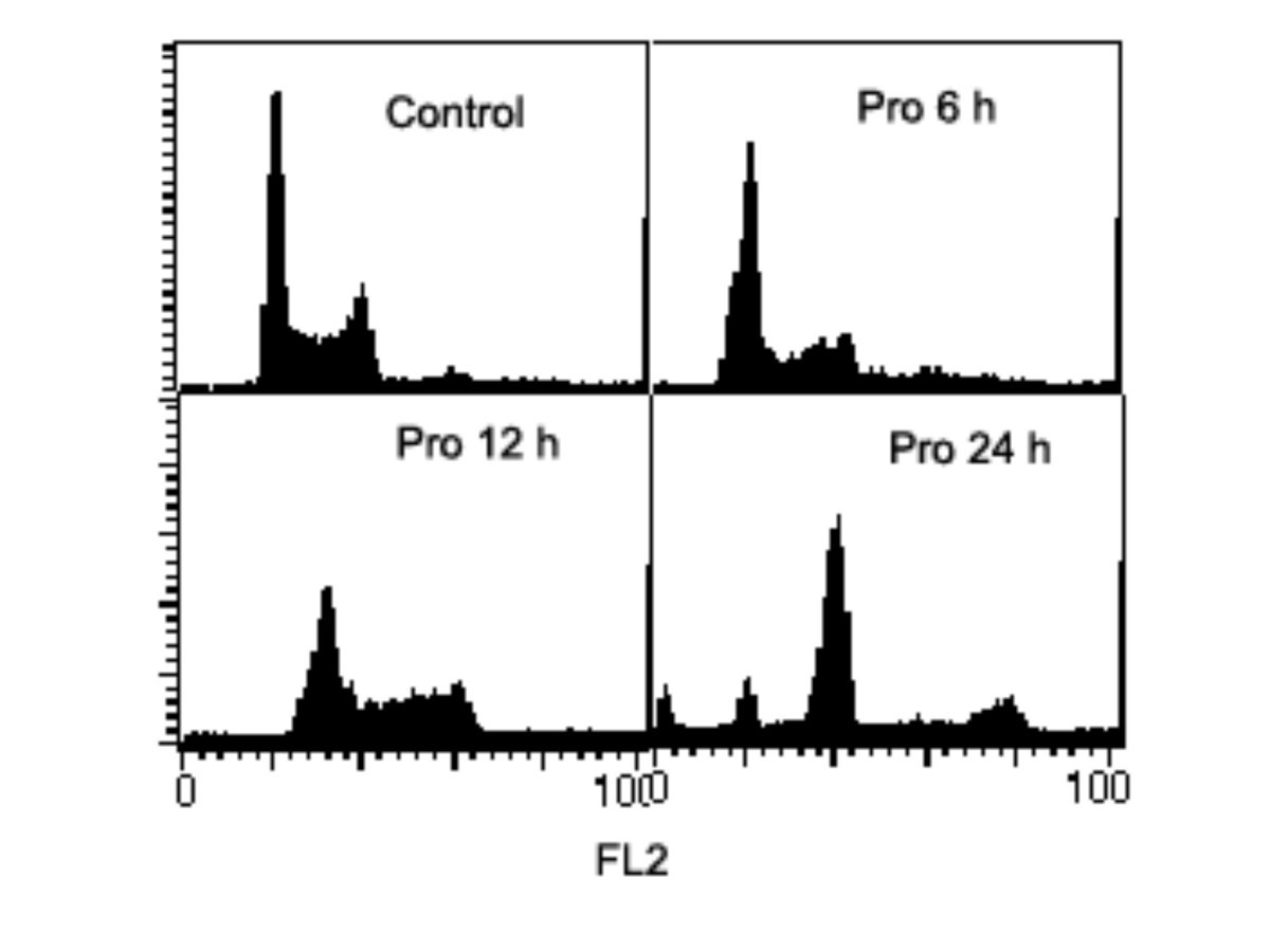 Figure 12