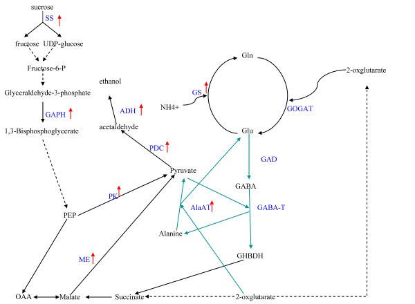 Figure 9