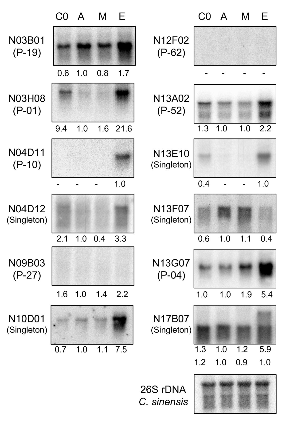 Figure 4