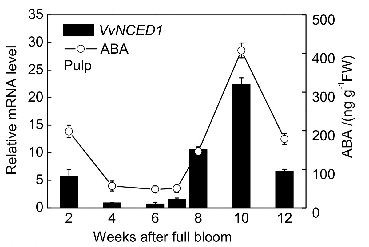 Figure 9